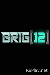 BRIG 12