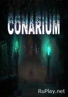 Conarium