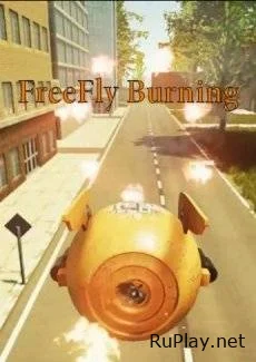 FreeFly Burning