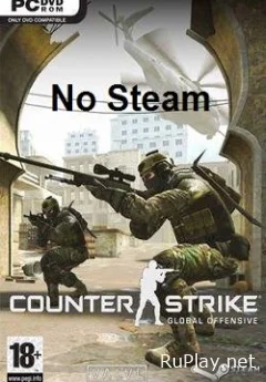 CS GO No Steam